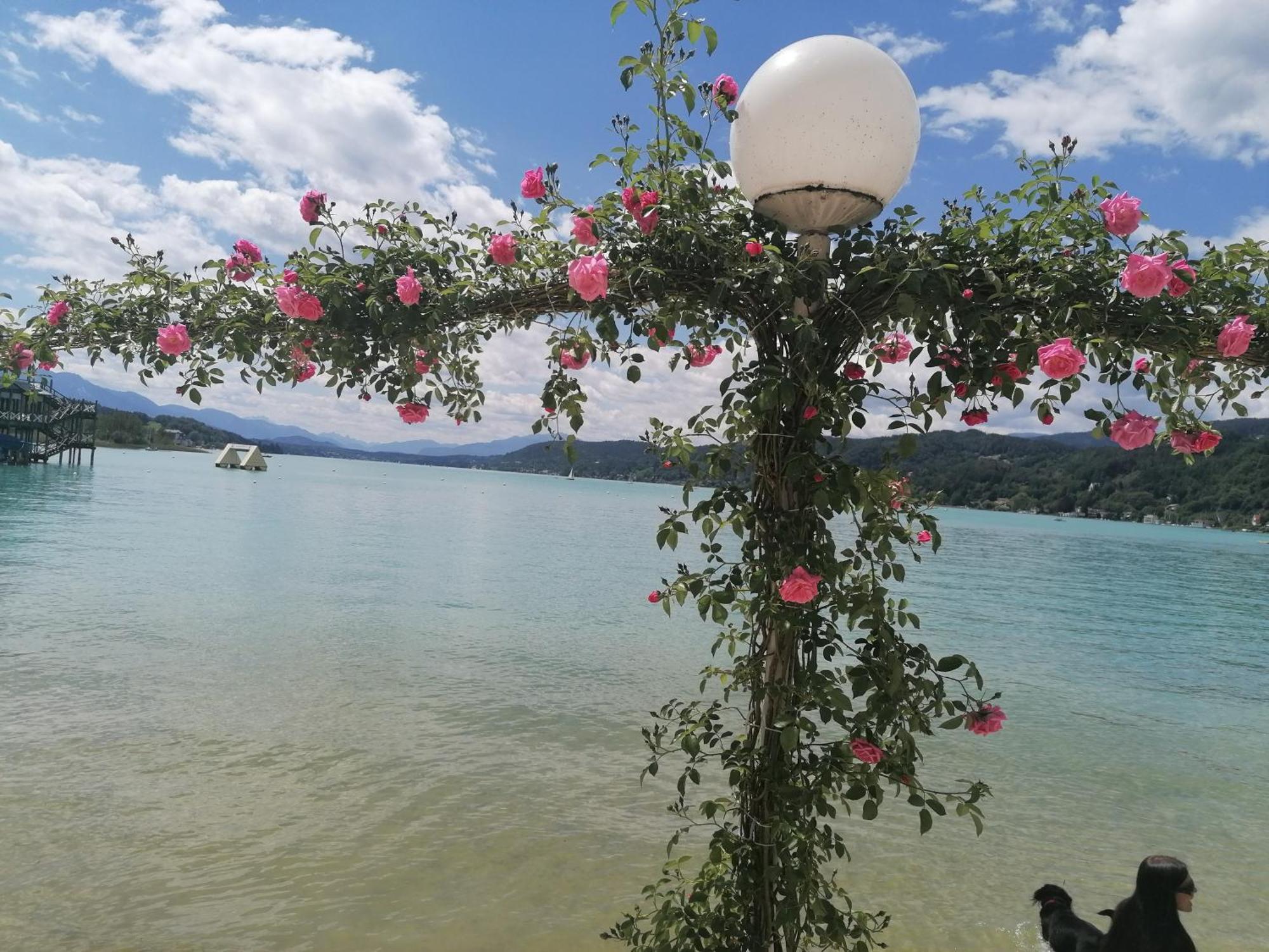 Pension Fischinger Feldkirchen in Kärnten Exteriér fotografie