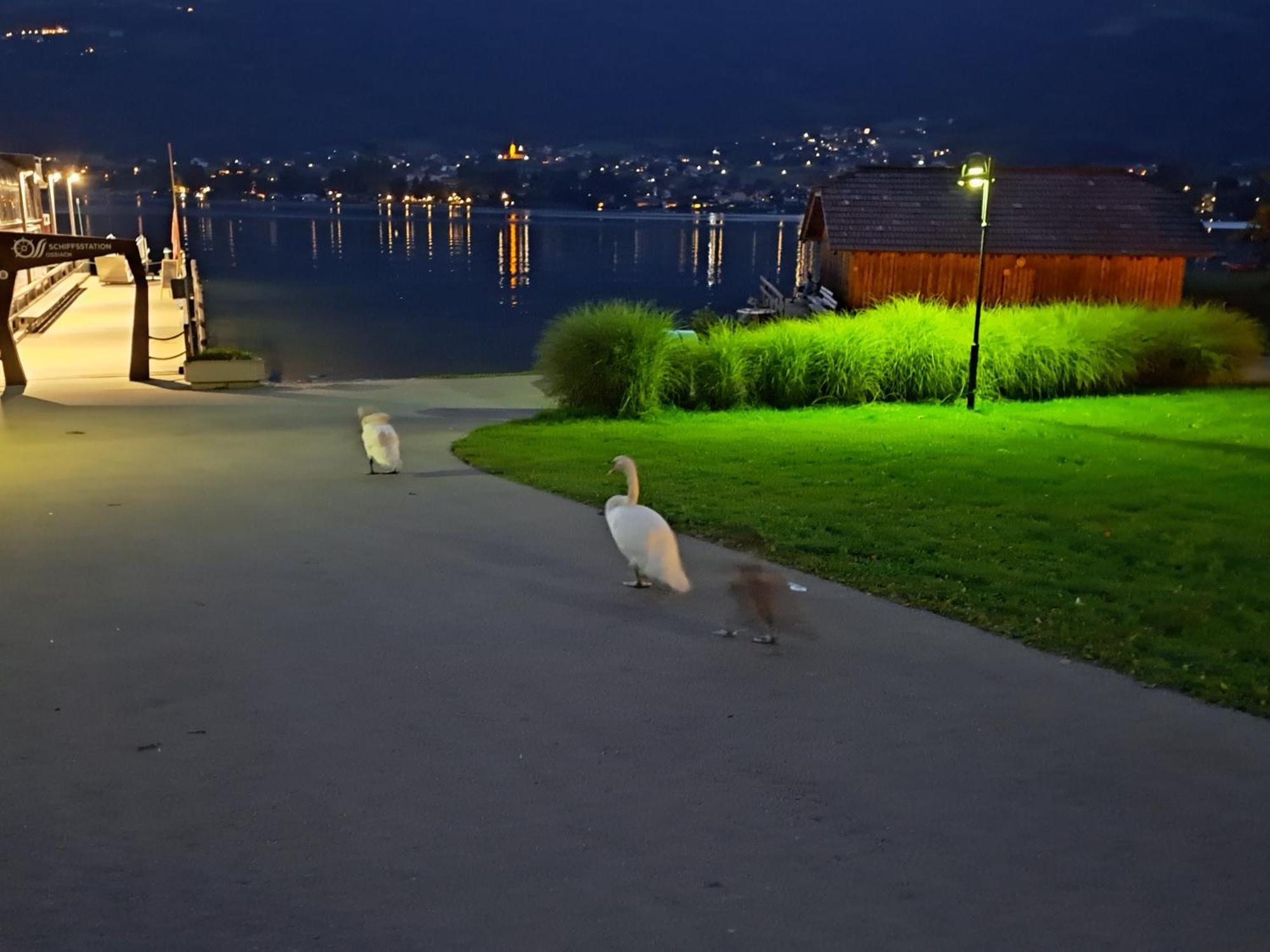 Pension Fischinger Feldkirchen in Kärnten Exteriér fotografie
